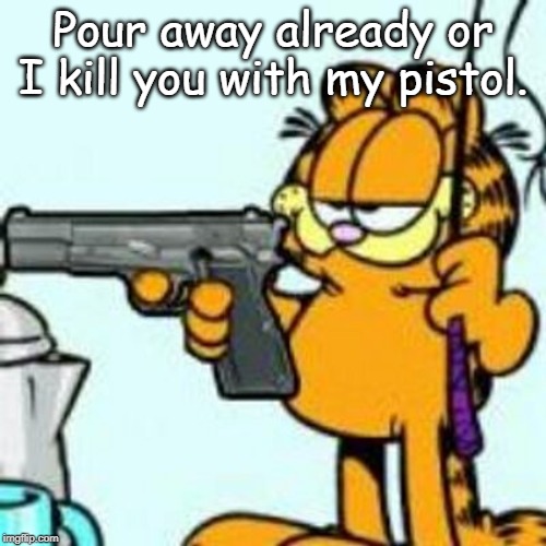 Garfield about to kill your ass | Pour away already or I kill you with my pistol. | image tagged in garfield about to kill your ass | made w/ Imgflip meme maker