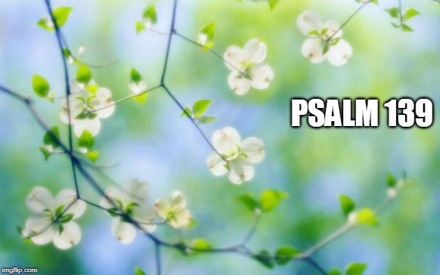 flowers | PSALM 139 | image tagged in flowers | made w/ Imgflip meme maker