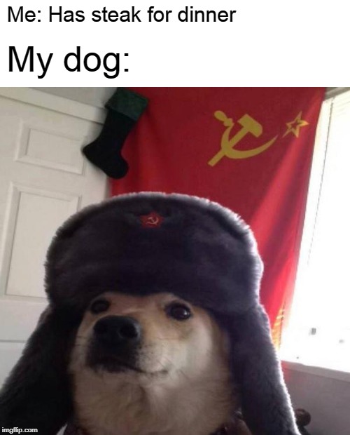 Communism it is!! | Me: Has steak for dinner; My dog: | image tagged in russian doge,communism,soviet union | made w/ Imgflip meme maker
