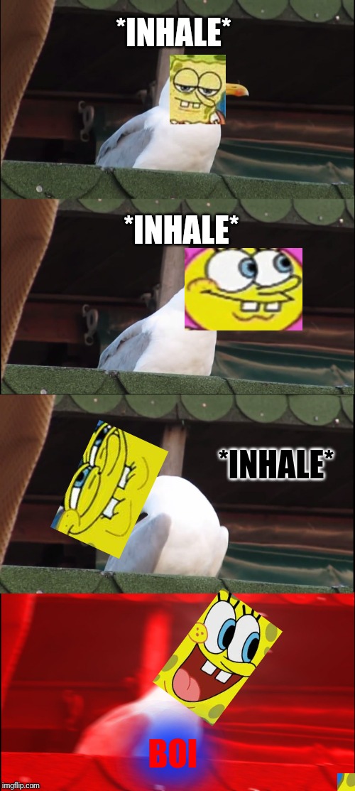 Inhaling Seagull Meme | *INHALE*; *INHALE*; *INHALE*; BOI | image tagged in memes,inhaling seagull | made w/ Imgflip meme maker