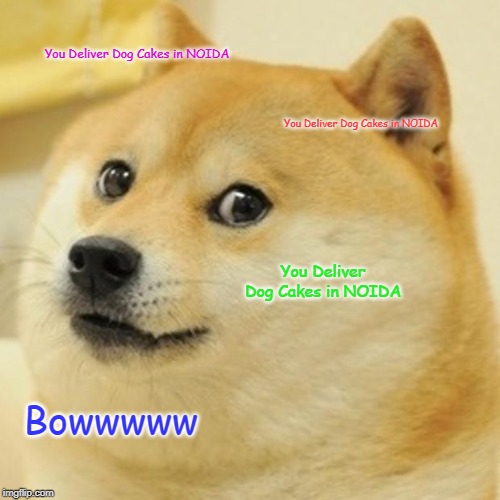 Doge Meme | You Deliver Dog Cakes in NOIDA; You Deliver Dog Cakes in NOIDA; You Deliver Dog Cakes in NOIDA; Bowwwww | image tagged in memes,doge | made w/ Imgflip meme maker