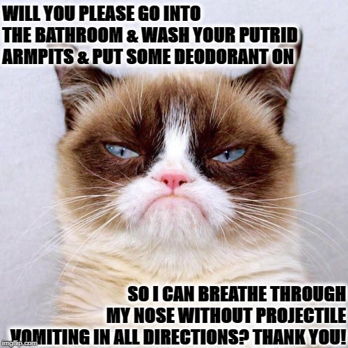 JUDGMENT GRUMPY | WILL YOU PLEASE GO INTO THE BATHROOM & WASH YOUR PUTRID ARMPITS & PUT SOME DEODORANT ON; SO I CAN BREATHE THROUGH MY NOSE WITHOUT PROJECTILE VOMITING IN ALL DIRECTIONS? THANK YOU! | image tagged in judgment grumpy | made w/ Imgflip meme maker