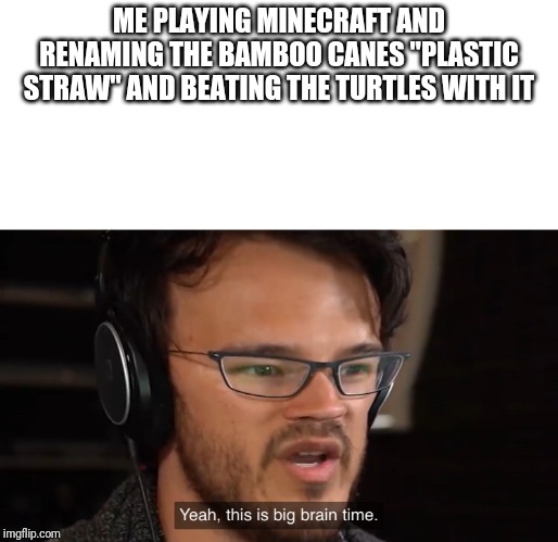 It's Big Brain Time | ME PLAYING MINECRAFT AND RENAMING THE BAMBOO CANES "PLASTIC STRAW" AND BEATING THE TURTLES WITH IT | image tagged in it's big brain time | made w/ Imgflip meme maker