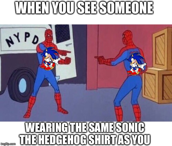 spiderman pointing at spiderman | WHEN YOU SEE SOMEONE; WEARING THE SAME SONIC THE HEDGEHOG SHIRT AS YOU | image tagged in spiderman pointing at spiderman | made w/ Imgflip meme maker