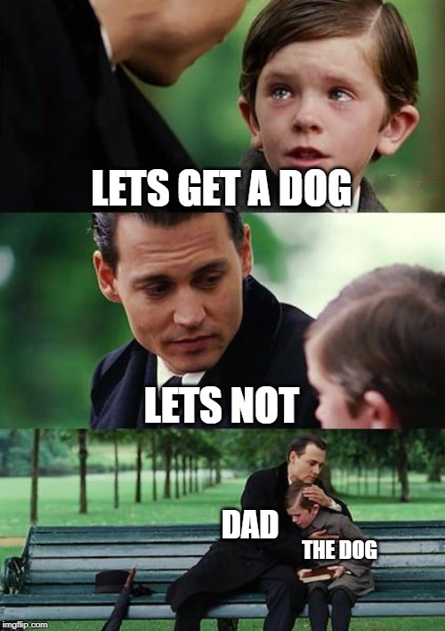 Finding Neverland | LETS GET A DOG; LETS NOT; DAD; THE DOG | image tagged in memes,finding neverland | made w/ Imgflip meme maker