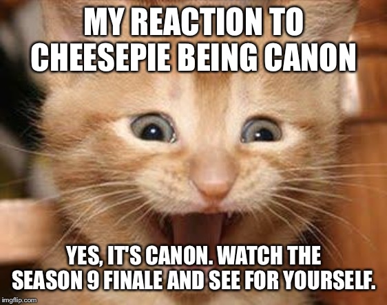 Excited Cat | MY REACTION TO CHEESEPIE BEING CANON; YES, IT'S CANON. WATCH THE SEASON 9 FINALE AND SEE FOR YOURSELF. | image tagged in memes,excited cat | made w/ Imgflip meme maker