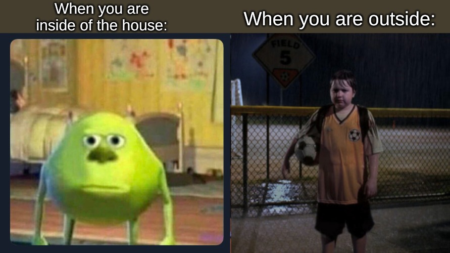 DAE ever feel like this? | When you are inside of the house:; When you are outside: | image tagged in memes,thug life | made w/ Imgflip meme maker