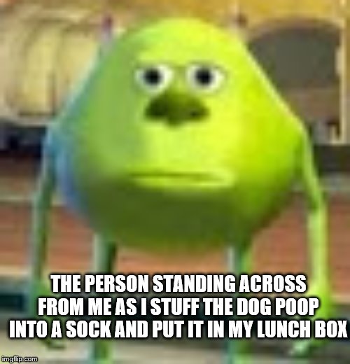 Sully Wazowski | THE PERSON STANDING ACROSS FROM ME AS I STUFF THE DOG POOP INTO A SOCK AND PUT IT IN MY LUNCH BOX | image tagged in sully wazowski | made w/ Imgflip meme maker