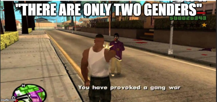 It's true! | "THERE ARE ONLY TWO GENDERS" | image tagged in you have provoked a gang war | made w/ Imgflip meme maker