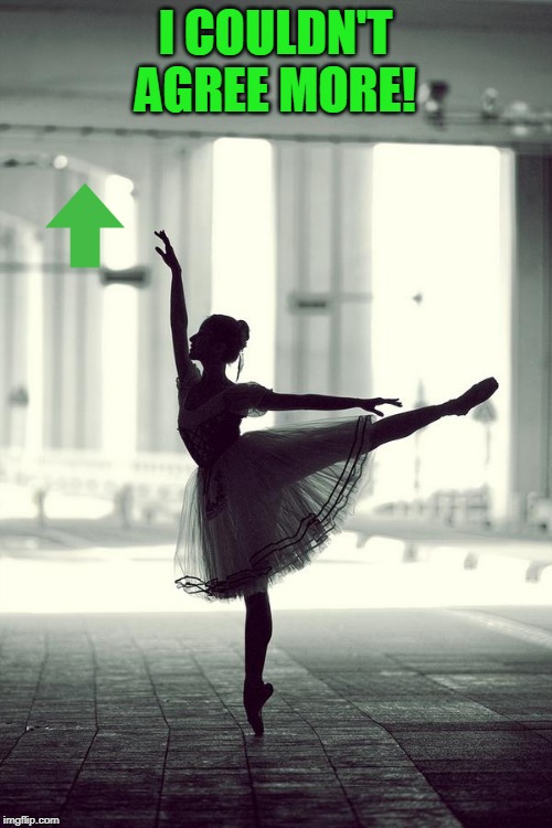 ballerina | I COULDN'T AGREE MORE! | image tagged in ballerina | made w/ Imgflip meme maker