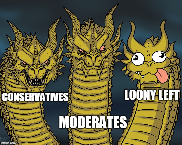 No room for the rational left. | CONSERVATIVES; LOONY LEFT; MODERATES | image tagged in king ghidorah | made w/ Imgflip meme maker