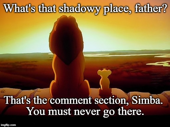 Shadowy Place | What's that shadowy place, father? That's the comment section, Simba. You must never go there. | image tagged in humor | made w/ Imgflip meme maker