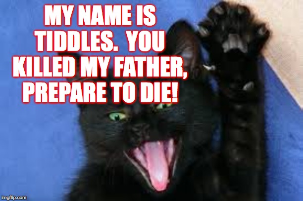 Look Mom!  I'm in a meme  ( : | MY NAME IS TIDDLES.  YOU KILLED MY FATHER, PREPARE TO DIE! | image tagged in memes,cats,tiddles,prepare to die | made w/ Imgflip meme maker