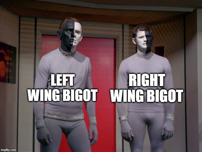 star trek black and white aliens | LEFT WING BIGOT RIGHT WING BIGOT | image tagged in star treck black and white aliens | made w/ Imgflip meme maker