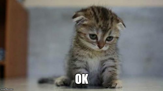 Sad kitten | OK | image tagged in sad kitten | made w/ Imgflip meme maker