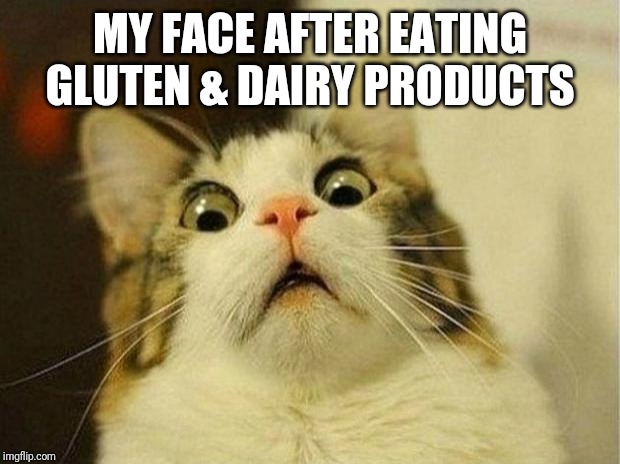 Scared Cat Meme | MY FACE AFTER EATING GLUTEN & DAIRY PRODUCTS | image tagged in memes,scared cat | made w/ Imgflip meme maker