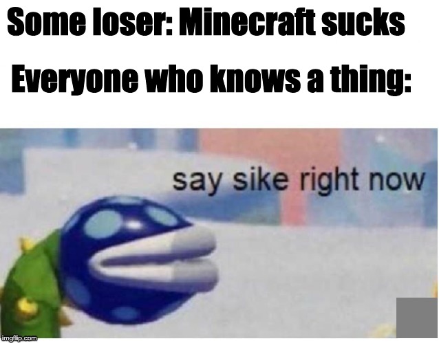 say sike right now |  Some loser: Minecraft sucks; Everyone who knows a thing: | image tagged in say sike right now | made w/ Imgflip meme maker