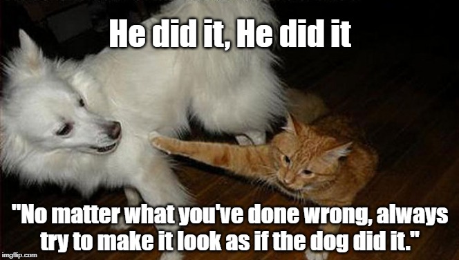 "Cat's motto" | He did it, He did it; "No matter what you've done wrong, always try to make it look as if the dog did it." | image tagged in cat | made w/ Imgflip meme maker