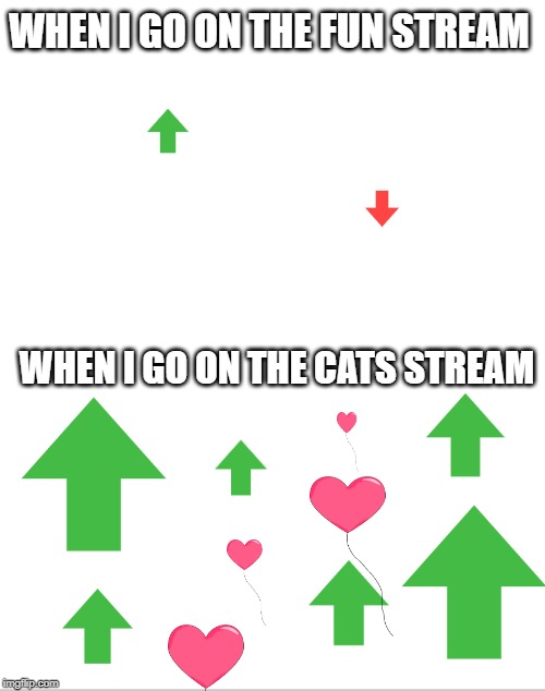 Blank White Template | WHEN I GO ON THE FUN STREAM; WHEN I GO ON THE CATS STREAM | image tagged in blank white template | made w/ Imgflip meme maker