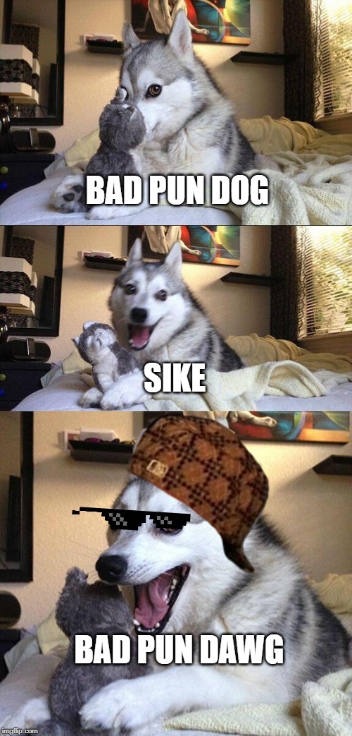 Bad Pun Dog Meme | BAD PUN DOG; SIKE; BAD PUN DAWG | image tagged in memes,bad pun dog | made w/ Imgflip meme maker