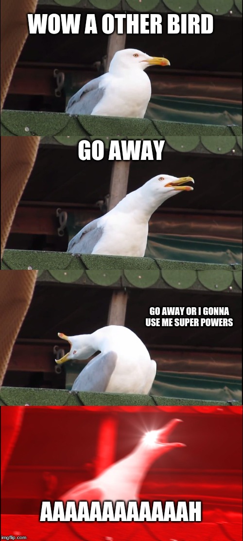 a other bird | WOW A OTHER BIRD; GO AWAY; GO AWAY OR I GONNA USE ME SUPER POWERS; AAAAAAAAAAAAH | image tagged in memes,inhaling seagull | made w/ Imgflip meme maker