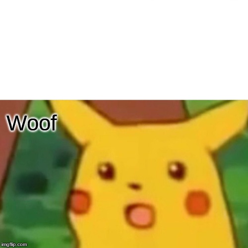 Surprised Pikachu Meme | Woof | image tagged in memes,surprised pikachu | made w/ Imgflip meme maker