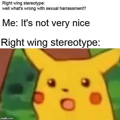 Surprised Pikachu | Right wing stereotype:
well what's wrong with sexual harrassment? Me: It's not very nice; Right wing stereotype: | image tagged in memes,surprised pikachu | made w/ Imgflip meme maker