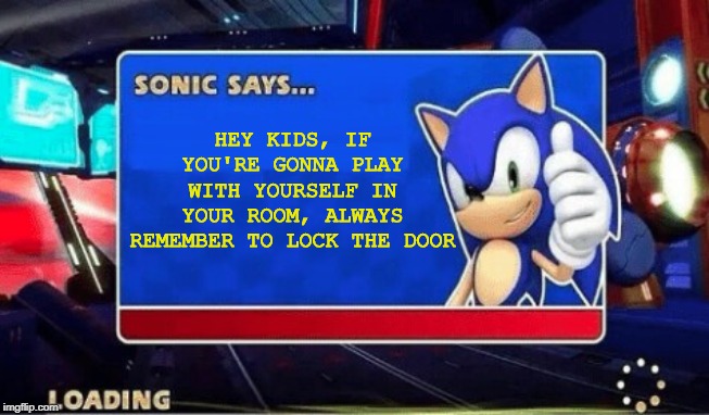 Good Advice | HEY KIDS, IF YOU'RE GONNA PLAY WITH YOURSELF IN YOUR ROOM, ALWAYS REMEMBER TO LOCK THE DOOR | image tagged in sonic says | made w/ Imgflip meme maker