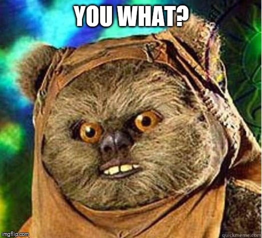 Ewok | YOU WHAT? | image tagged in ewok | made w/ Imgflip meme maker