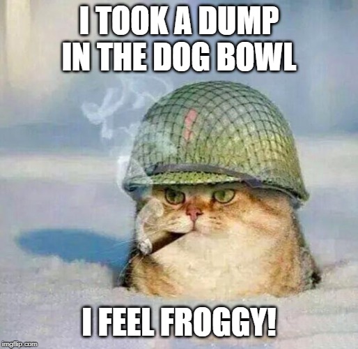 War Cat |  I TOOK A DUMP IN THE DOG BOWL; I FEEL FROGGY! | image tagged in war cat | made w/ Imgflip meme maker