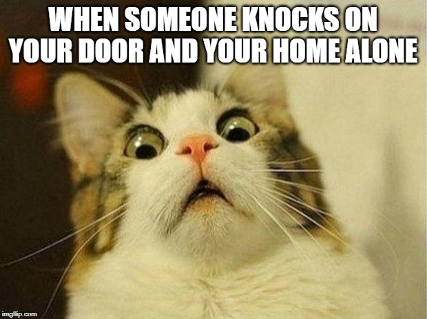 Scared Cat Meme | WHEN SOMEONE KNOCKS ON YOUR DOOR AND YOUR HOME ALONE | image tagged in memes,scared cat | made w/ Imgflip meme maker