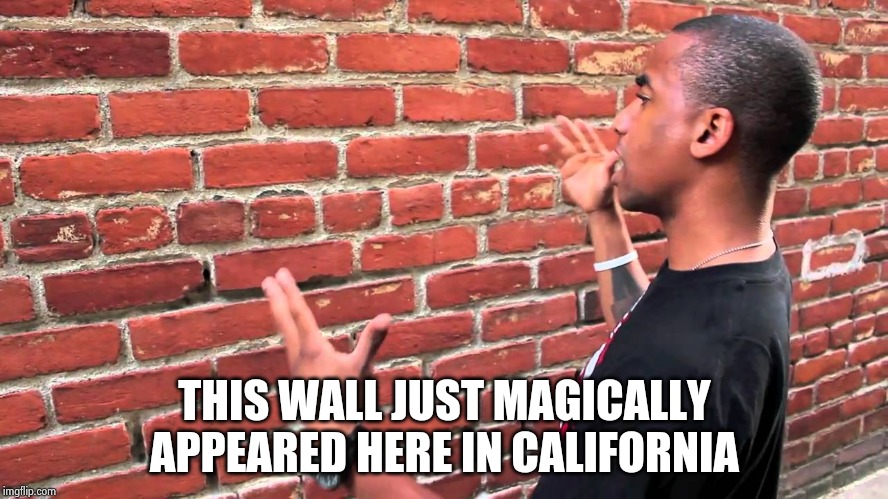 Talking to wall | THIS WALL JUST MAGICALLY APPEARED HERE IN CALIFORNIA | image tagged in talking to wall | made w/ Imgflip meme maker