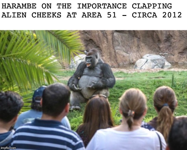 Harambe knew | HARAMBE ON THE IMPORTANCE CLAPPING ALIEN CHEEKS AT AREA 51 - CIRCA 2012 | image tagged in ted talk gorilla,storm area 51 | made w/ Imgflip meme maker