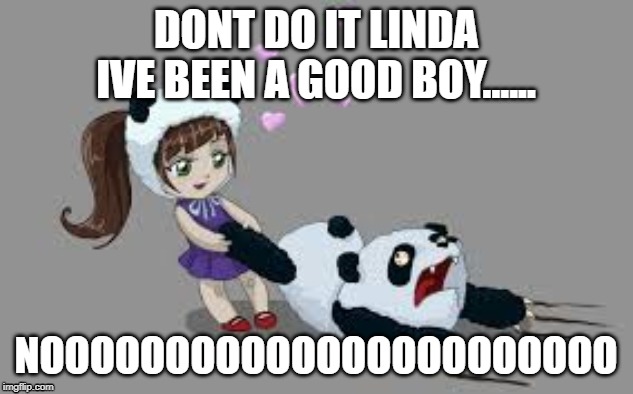 NO LINDA | DONT DO IT LINDA IVE BEEN A GOOD BOY...... NOOOOOOOOOOOOOOOOOOOOOOO | image tagged in panda | made w/ Imgflip meme maker