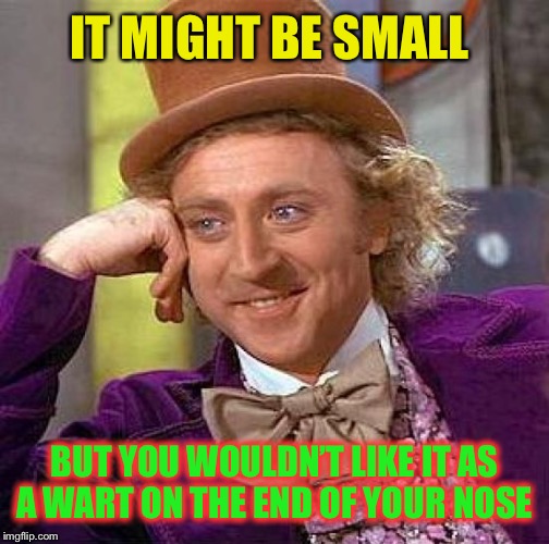 Creepy Condescending Wonka Meme | IT MIGHT BE SMALL BUT YOU WOULDN’T LIKE IT AS A WART ON THE END OF YOUR NOSE | image tagged in memes,creepy condescending wonka | made w/ Imgflip meme maker
