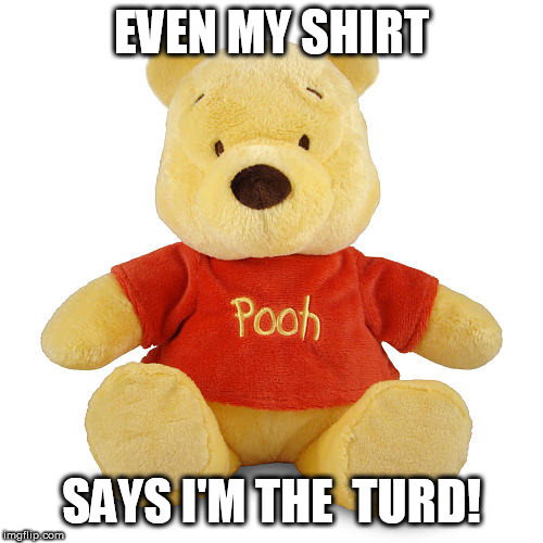 EVEN MY SHIRT SAYS I'M THE  TURD! | made w/ Imgflip meme maker