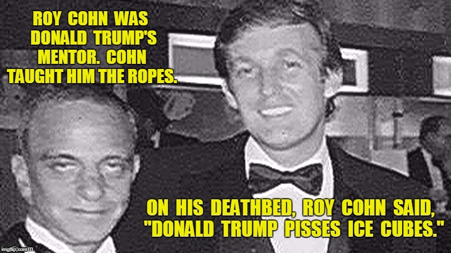 Well, that hasn't changed. | . | image tagged in trump,roy cohn | made w/ Imgflip meme maker