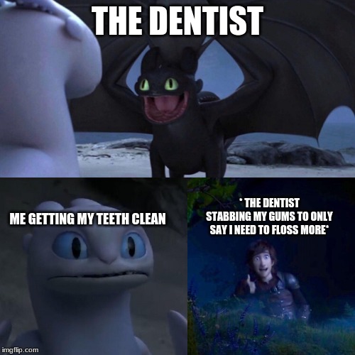 night fury | THE DENTIST; ME GETTING MY TEETH CLEAN; * THE DENTIST STABBING MY GUMS TO ONLY SAY I NEED TO FLOSS MORE* | image tagged in night fury | made w/ Imgflip meme maker