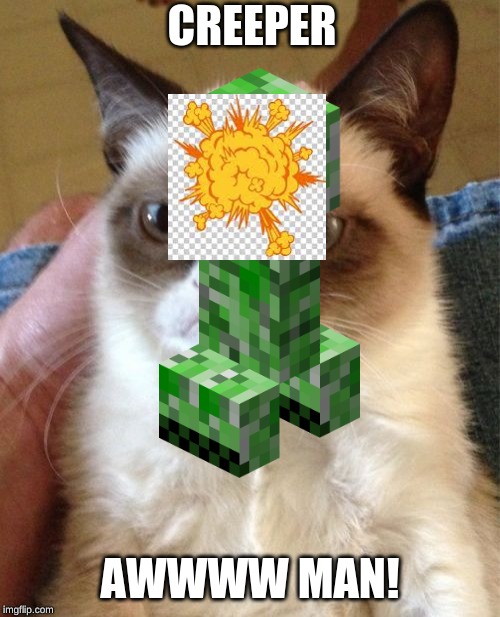 Grumpy Cat Meme | CREEPER; AWWWW MAN! | image tagged in memes,grumpy cat | made w/ Imgflip meme maker