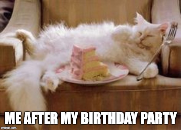 Birthday meme | ME AFTER MY BIRTHDAY PARTY | image tagged in birthday meme | made w/ Imgflip meme maker