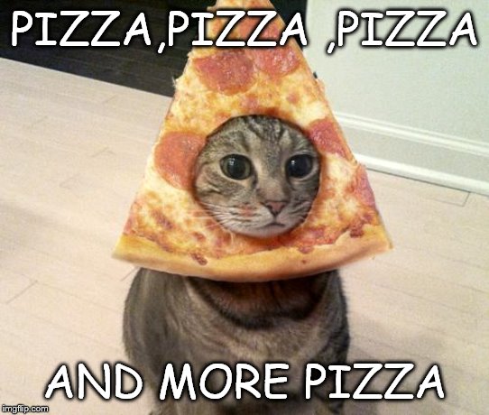 pizza cat | PIZZA,PIZZA ,PIZZA; AND MORE PIZZA | image tagged in pizza cat | made w/ Imgflip meme maker