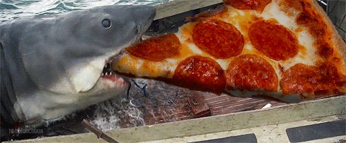 Pizza shark Blank Meme Template