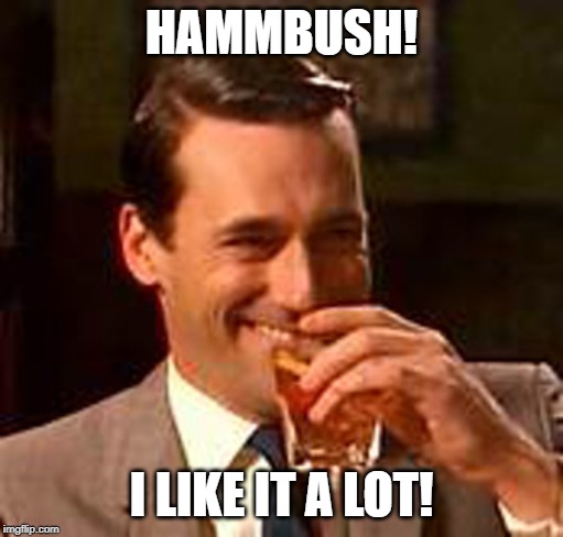 Jon Hamm mad men | HAMMBUSH! I LIKE IT A LOT! | image tagged in jon hamm mad men | made w/ Imgflip meme maker