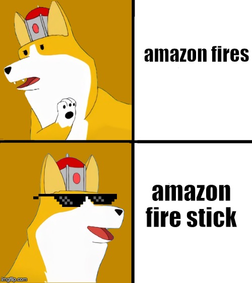 amazon fires amazon fire stick | made w/ Imgflip meme maker