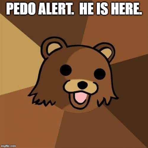 Pedobear Meme | PEDO ALERT.  HE IS HERE. | image tagged in memes,pedobear | made w/ Imgflip meme maker