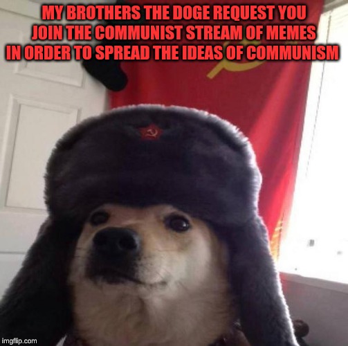 Russian Doge | MY BROTHERS THE DOGE REQUEST YOU JOIN THE COMMUNIST STREAM OF MEMES IN ORDER TO SPREAD THE IDEAS OF COMMUNISM | image tagged in russian doge | made w/ Imgflip meme maker