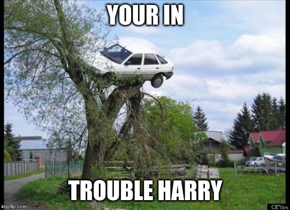 Secure Parking | YOUR IN; TROUBLE HARRY | image tagged in memes,secure parking | made w/ Imgflip meme maker
