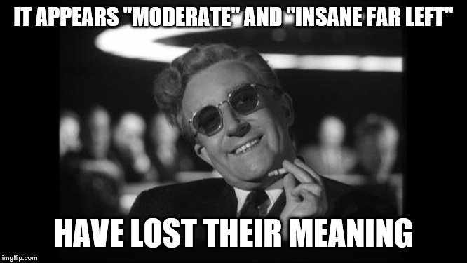 dr strangelove | IT APPEARS "MODERATE" AND "INSANE FAR LEFT" HAVE LOST THEIR MEANING | image tagged in dr strangelove | made w/ Imgflip meme maker