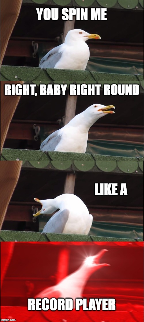 YOU SPIN ME RIGHT, BABY RIGHT ROUND LIKE A RECORD PLAYER | image tagged in memes,inhaling seagull | made w/ Imgflip meme maker