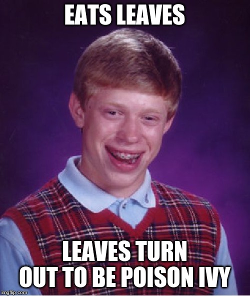 Bad Luck Brian Meme | EATS LEAVES LEAVES TURN OUT TO BE POISON IVY | image tagged in memes,bad luck brian | made w/ Imgflip meme maker
